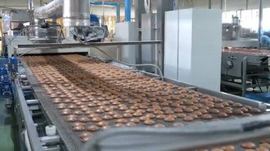 Endüstriyel gıda fabrikası veya fırın, otomatikleştirilmiş üretim hattındaki kurabiyeler veya taşıma bandı, şekerleme fabrikası veya fırın