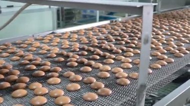 Endüstriyel gıda fabrikası veya fırın, otomatikleştirilmiş üretim hattındaki kurabiyeler veya taşıma bandı, şekerleme fabrikası veya fırın