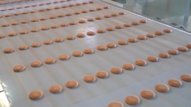 Endüstriyel gıda fabrikası veya fırın, otomatikleştirilmiş üretim hattındaki kurabiyeler veya taşıma bandı, şekerleme fabrikası veya fırın