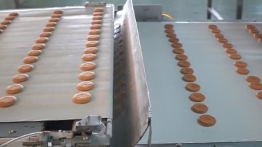 Endüstriyel gıda fabrikası veya fırın, otomatikleştirilmiş üretim hattındaki kurabiyeler veya taşıma bandı, şekerleme fabrikası veya fırın