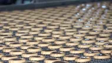 Endüstriyel gıda fabrikası veya fırın, otomatikleştirilmiş üretim hattındaki kurabiyeler veya taşıma bandı, şekerleme fabrikası veya fırın