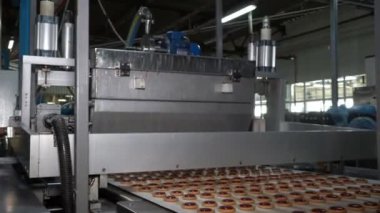 Endüstriyel gıda fabrikası veya fırın, otomatikleştirilmiş üretim hattındaki kurabiyeler veya taşıma bandı, şekerleme fabrikası veya fırın