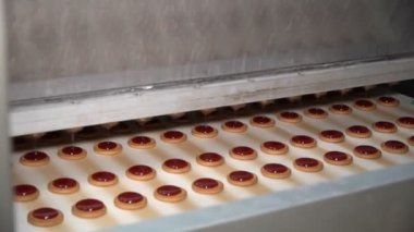 Endüstriyel gıda fabrikası veya fırın, otomatikleştirilmiş üretim hattındaki kurabiyeler veya taşıma bandı, şekerleme fabrikası veya fırın
