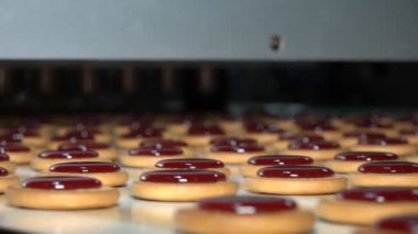 Endüstriyel gıda fabrikası veya fırın, otomatikleştirilmiş üretim hattındaki kurabiyeler veya taşıma bandı, şekerleme fabrikası veya fırın