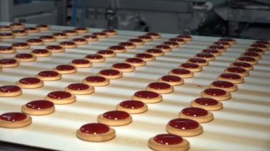 Endüstriyel gıda fabrikası veya fırın, otomatikleştirilmiş üretim hattındaki kurabiyeler veya taşıma bandı, şekerleme fabrikası veya fırın