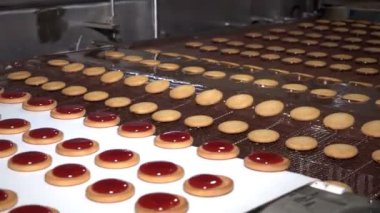 Endüstriyel gıda fabrikası veya fırın, otomatikleştirilmiş üretim hattındaki kurabiyeler veya taşıma bandı, şekerleme fabrikası veya fırın