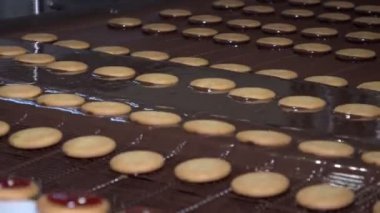 Endüstriyel gıda fabrikası veya fırın, otomatikleştirilmiş üretim hattındaki kurabiyeler veya taşıma bandı, şekerleme fabrikası veya fırın