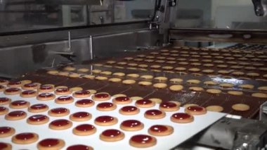 Endüstriyel gıda fabrikası veya fırın, otomatikleştirilmiş üretim hattındaki kurabiyeler veya taşıma bandı, şekerleme fabrikası veya fırın