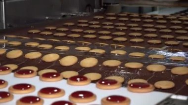 Endüstriyel gıda fabrikası veya fırın, otomatikleştirilmiş üretim hattındaki kurabiyeler veya taşıma bandı, şekerleme fabrikası veya fırın