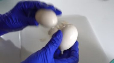 Bir aşçı haşlanmış yumurtayı kabuğundan soyar.