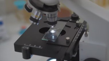Biyolojik bir laboratuvarda mikroskop. Bir mikrobiyoloji uzmanı, bir maddeyi incelemek için bir biyoloji laboratuvarında mikroskop ayarlar.