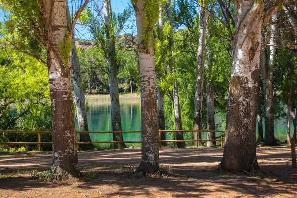 Castilla la la Mancha - Albacete y Ciudad Real - Parque natural de las Lagunas de Ruidera, paisajes y entorno natural