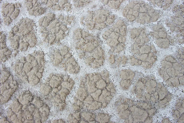 Textura de sal cuajada