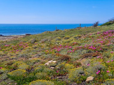 Vega Baja del Segura - Las calas de Torrevieja