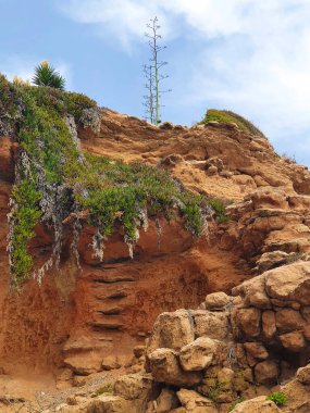 Vega Baja del Segura - Las calas de Torrevieja
