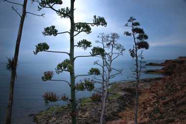 Vega Baja del Segura - Las calas de Torrevieja