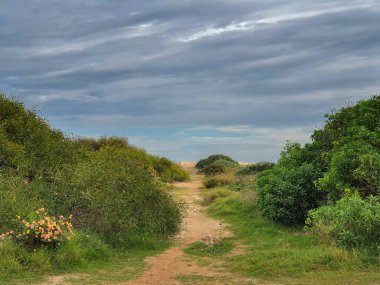 Vega Baja del Segura - Las calas de Torrevieja 