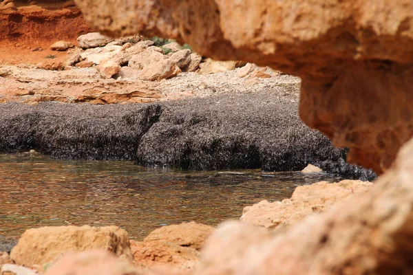 Vega Baja del Segura - Las calas de Torrevieja