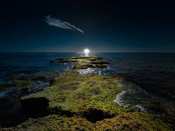 Vega Baja del Segura - Las calas de Torrevieja