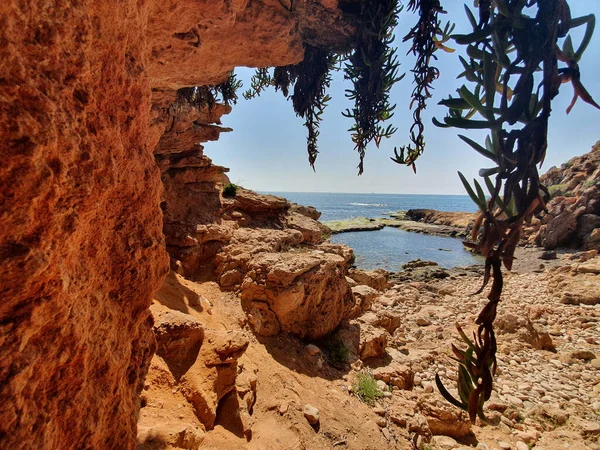 Vega Baja del Segura - Las calas de Torrevieja