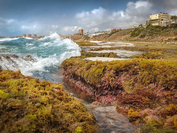 Vega Baja del Segura - Las calas de Torrevieja