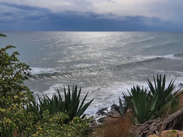Vega Baja del Segura - Las calas de Torrevieja 