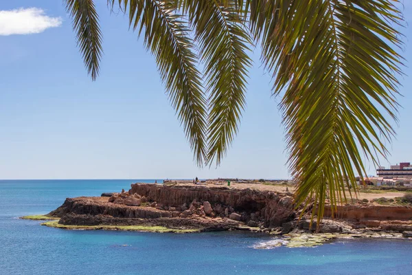 Vega Baja del Segura - Las calas de Torrevieja 