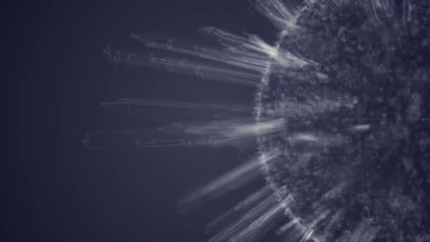 Abstract Crystallised Sphere Rotating Dark Background — Stock Video