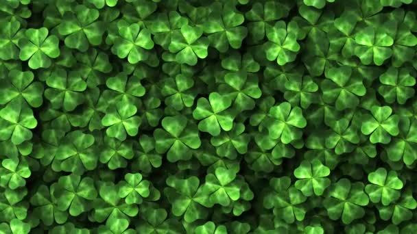 Saint Patrick Day Four Leaf Clover Spring Motion Background — Vídeo de Stock