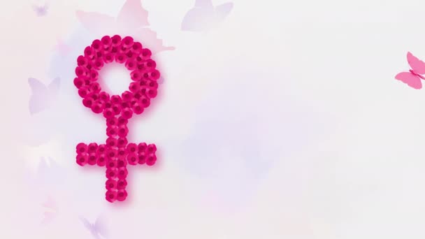 Woman Gender Symbol Butterfly International Womans Day Concept — Stock videók