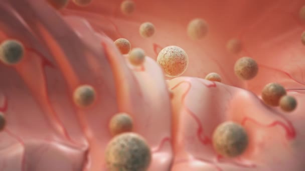 ヒト細胞または胚性幹細胞 — ストック動画