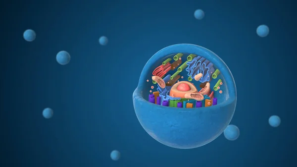 Biological animal cell with organelles