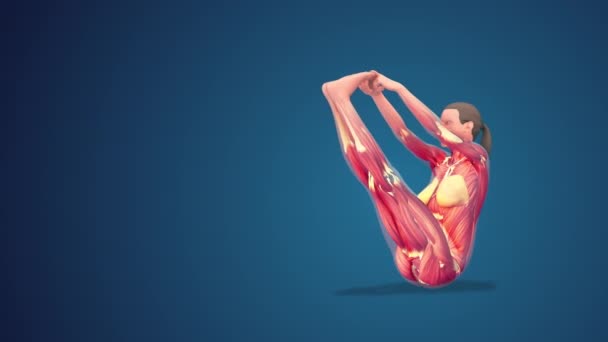 Människa Navasana Variation Med Armar Förlängd Yoga Pose Blå Bakgrund — Stockvideo