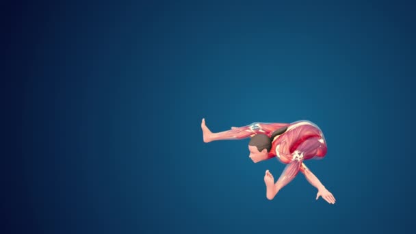 Human Kurmasana Yoga Pose Blue Background Loopable — Stok video