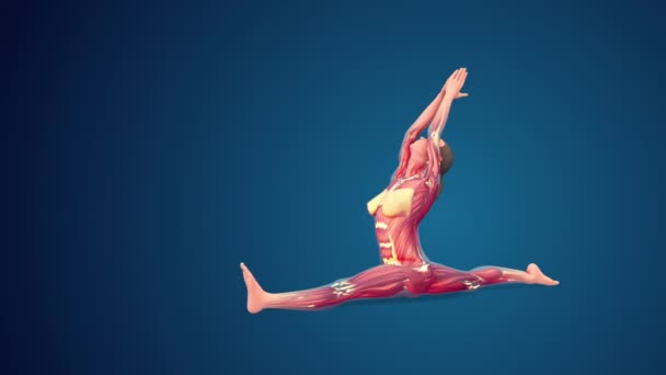 3D人間Hanumanasanaまたはモンキーヨガポーズ上の青背景 ループ可能 — ストック動画
