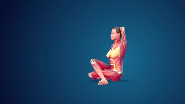 Gomukhasana Umano Mucca Affrontato Posa Yoga Sfondo Blu Loop — Video Stock
