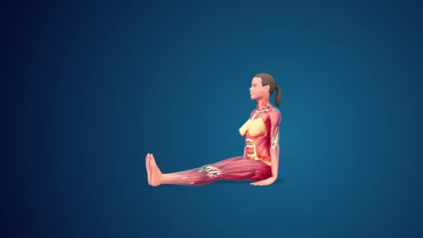 Human Dandasana Staff Yoga Pose Blue Background Loopable — 图库视频影像