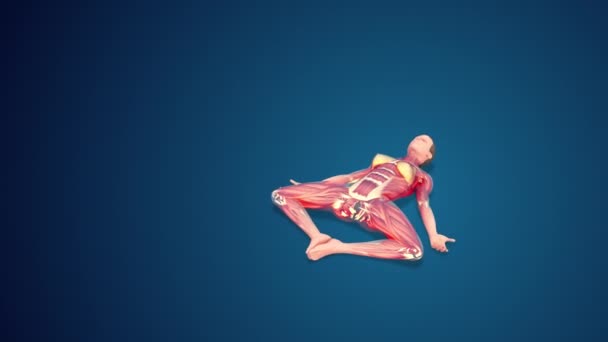 Human Supta Baddha Konasana Reclining Bound Angle Variation Pose Yoga — Stok Video