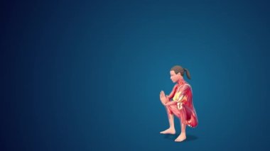 3D human Upavesasana or SquatSitting-Down yoga pose on blue background, loopable