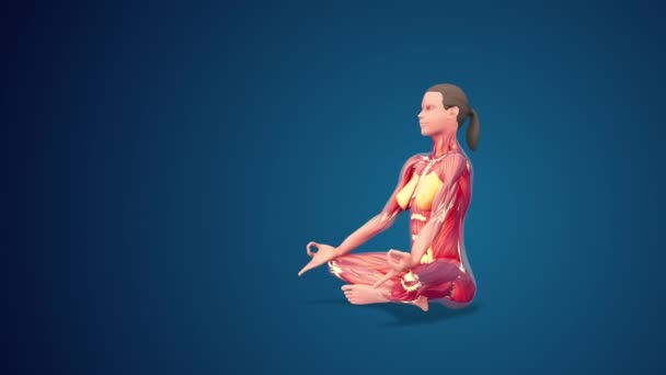Человек Sukhasana Легкая Поза Yoga Голубом Фоне Loopable — стоковое видео