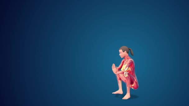 Människa Upavesasana Eller Squatsitting Yoga Pose Blå Bakgrund Loopable — Stockvideo