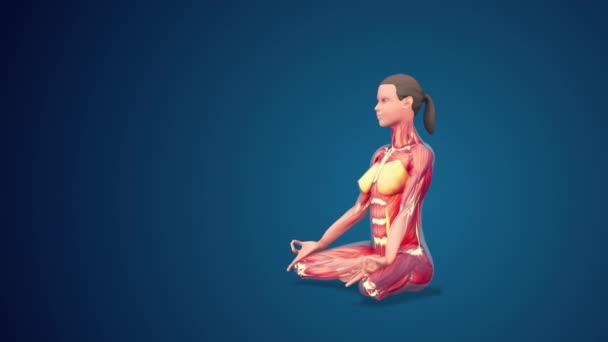 Människa Svastikasana Eller Auspicious Yoga Pose Blå Bakgrund Loopable — Stockvideo