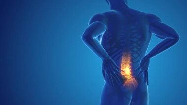 Pain in the back joint