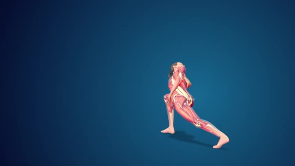 3D人間Parvirtta Baddha Parsvakonasanaまたは回転側角ヨガポーズ上の青の背景 ループ可能 — ストック動画