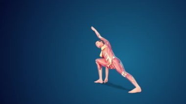 3D human Utthita Parsvakonasana or Extended Side Angle yoga pose on blue background , loopable