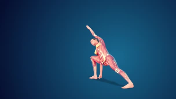 Boyutlu Utthita Parsvakonasana Genişletilmiş Angle Yoga Pozu Mavi Arka Planda — Stok video