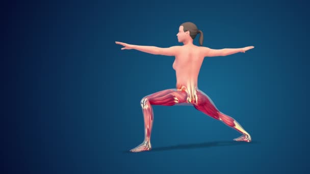 Human Virabhadrasana Variation Extended Warrior Yoga Pose Blue Background Loopable — Vídeo de Stock