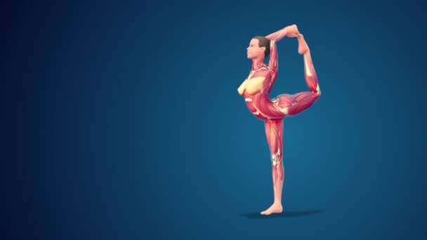 Umano Natarajasana Dei Ballerini Posa Yoga Sfondo Blu Loop — Video Stock