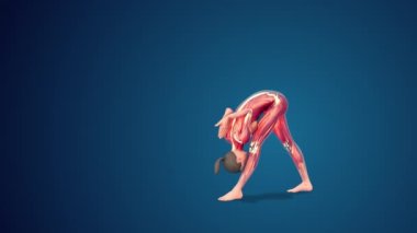 3D human Parsvottanasana Variation with arms in reverse namaskar yoga pose on blue background, loopable