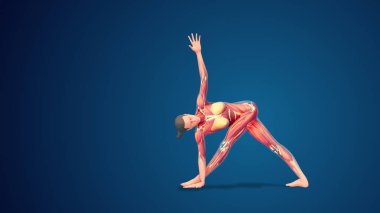 3D human Parivrtta Trikonasana or Revolved Triangle yoga pose on blue background